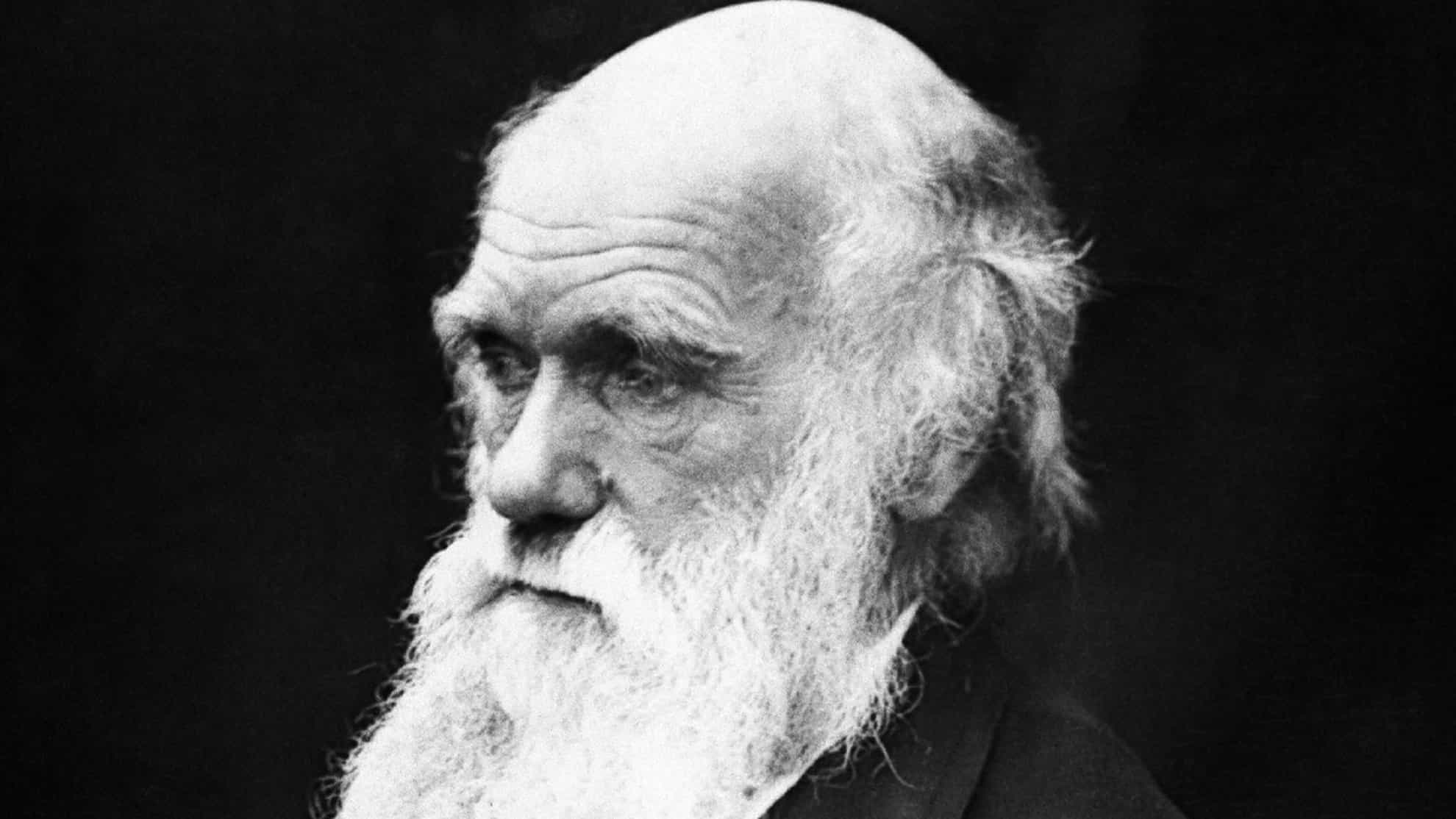 Реферат: Charles Robert Darwin