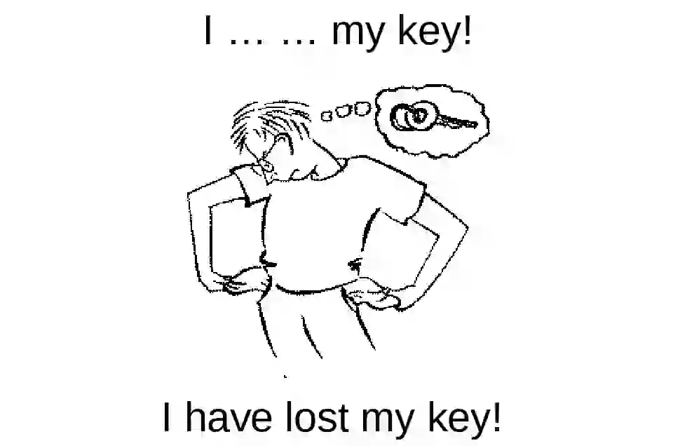 I lost my key last night. Lost my Keys. I have Lost my Keys. Tom has Lost his Key. He Lost his Keys.