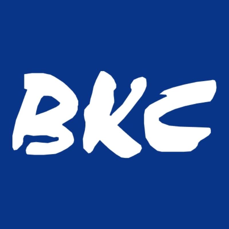 Школа иностранных языков BKC